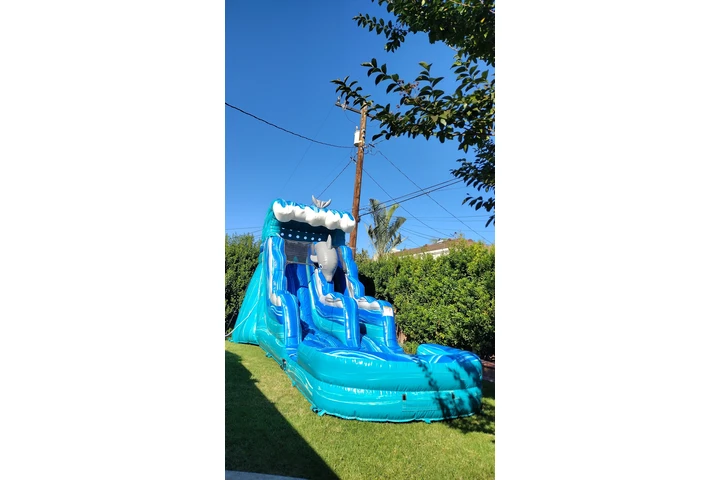 Party rentals image 7