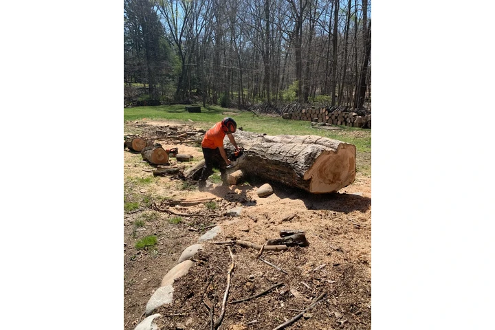 Happy Tree Services INC image 7