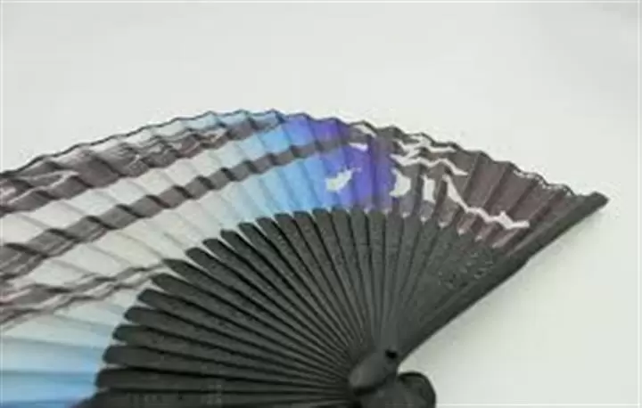 Custom Printed Hand Fans image 1