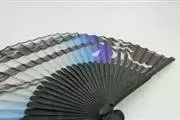 Custom Printed Hand Fans