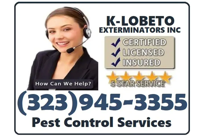 PEST CONTROL MAYWOOD ALL AREAS image 5