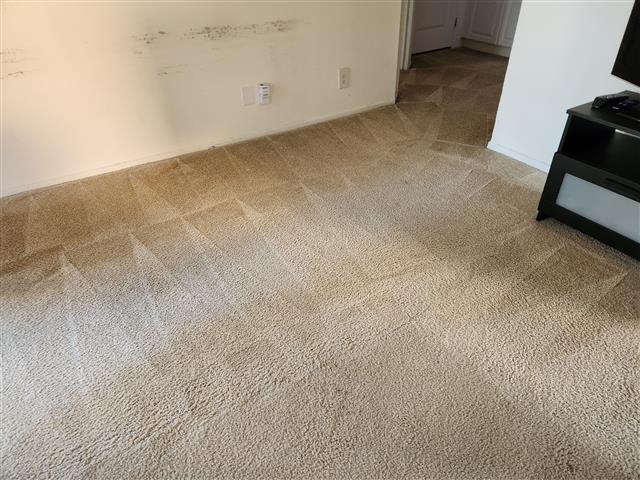 Arizmendi's Carpet Cleaning image 3
