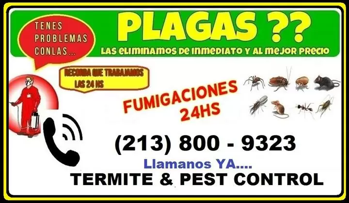 FUMIGACIÓN DE CUCARACHAS image 3