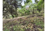 Venta Terreno Antigua