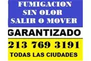 FUMIGACION BARATA 2137693191 thumbnail