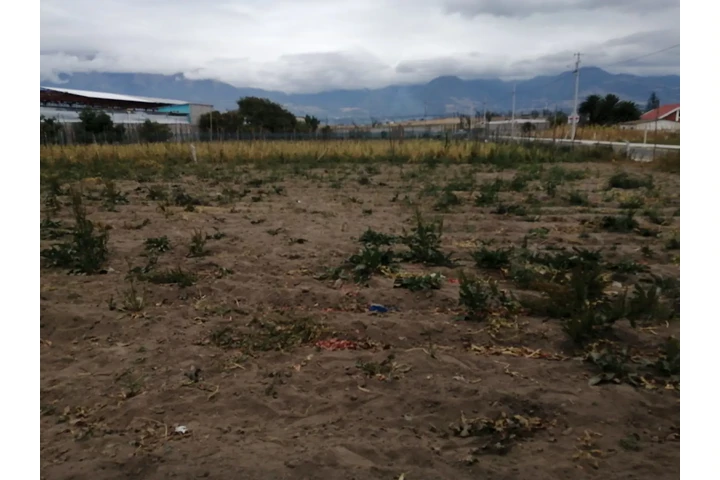 $30000 : Venta de terreno image 7