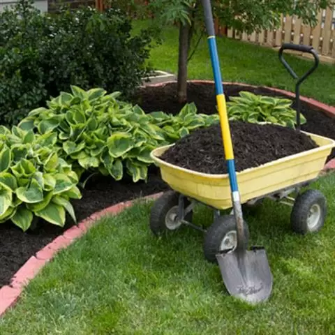 Forever Green Landscaping image 8