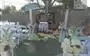 Licencia Matrimonial GRATIS! en Riverside