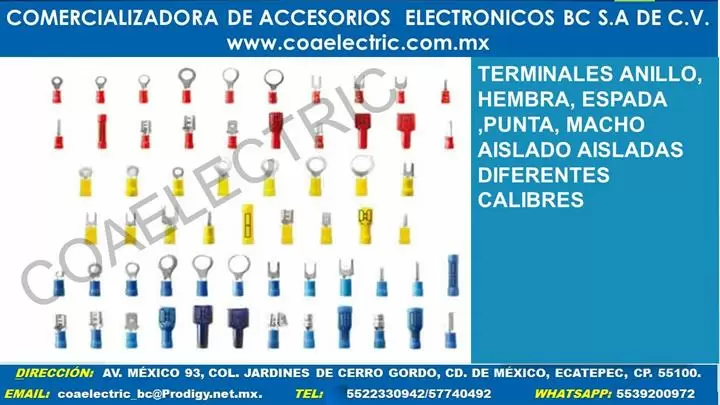 TERMINALES ELECTRICAS image 2