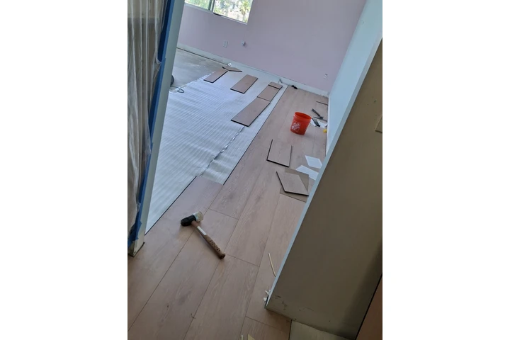 Busco trabajo como ayudante image 4