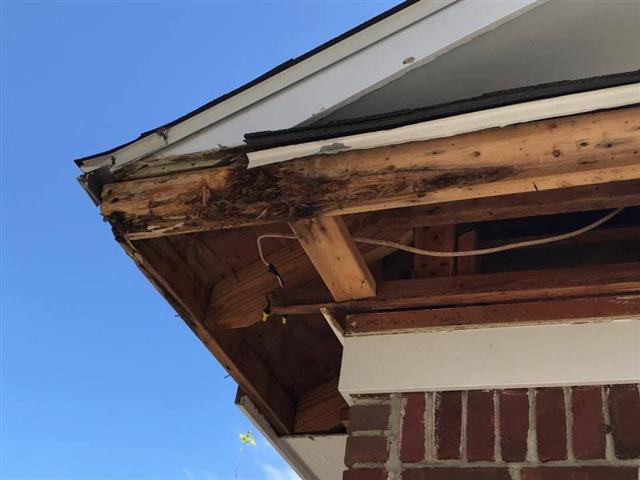 Termite repair contractors | S image 1
