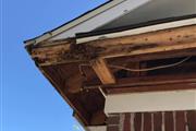 Termite repair contractors | S en Birmingham