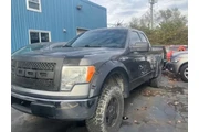 2010 F-150 thumbnail