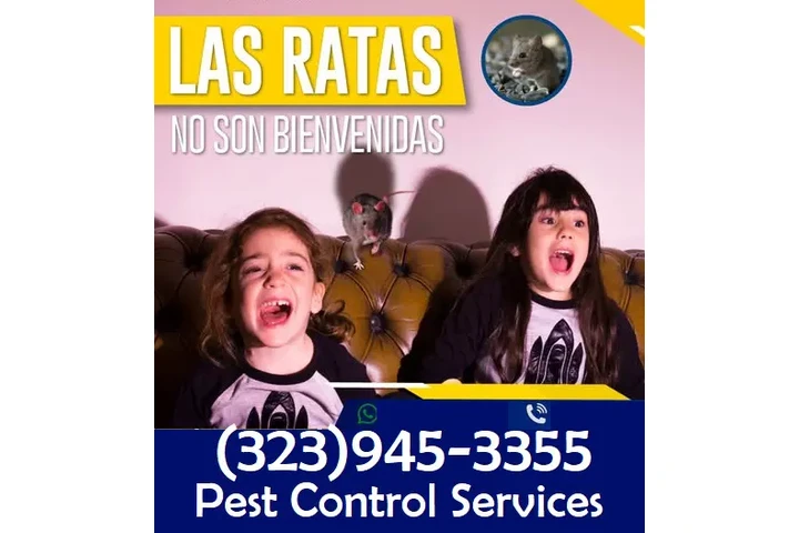 PEST CONTROL SERVICES image 3