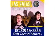 PEST CONTROL SERVICES thumbnail