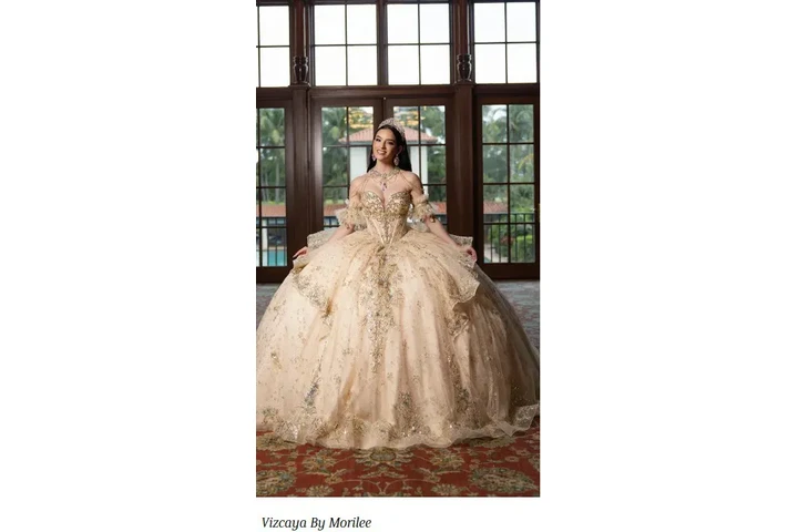 TU VESTIDO PERFECTO TE ESPERA image 1