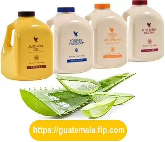 Beber Forever Aloe Vera GEL image 1