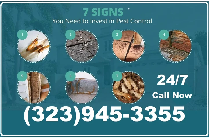 BEST EXTERMINATORS LOS ANGELES image 6