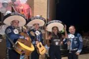 Mariachis serenatas Mexicana thumbnail