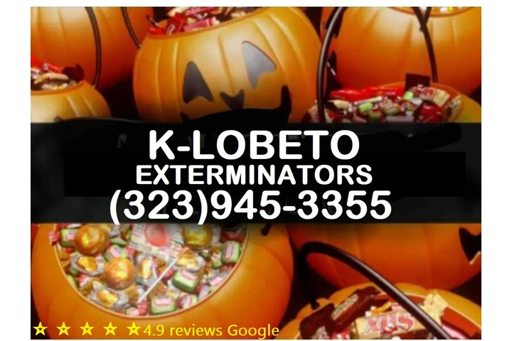 FUMIGACIONES 🎃 🦇 HALLOWEEN.- image 4