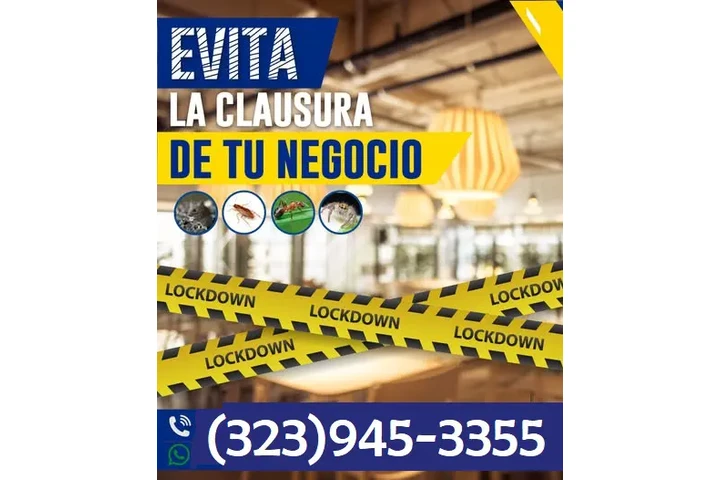 PEST CONTROL SERVICES image 6