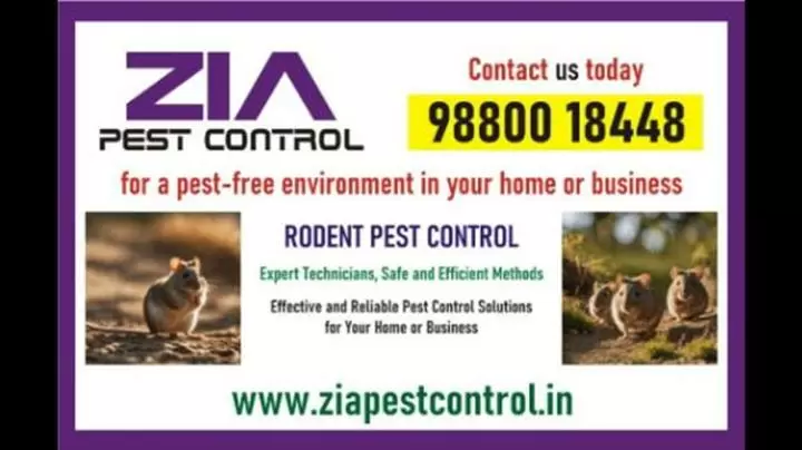 Rodent Control Treatment | App image 1