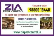 Rodent Control Treatment | App en Indianapolis