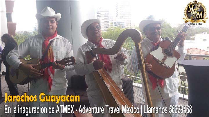 Grupo Musical Jarocho Guayacan image 2
