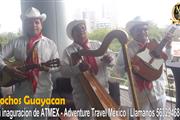 Grupo Musical Jarocho Guayacan thumbnail 2