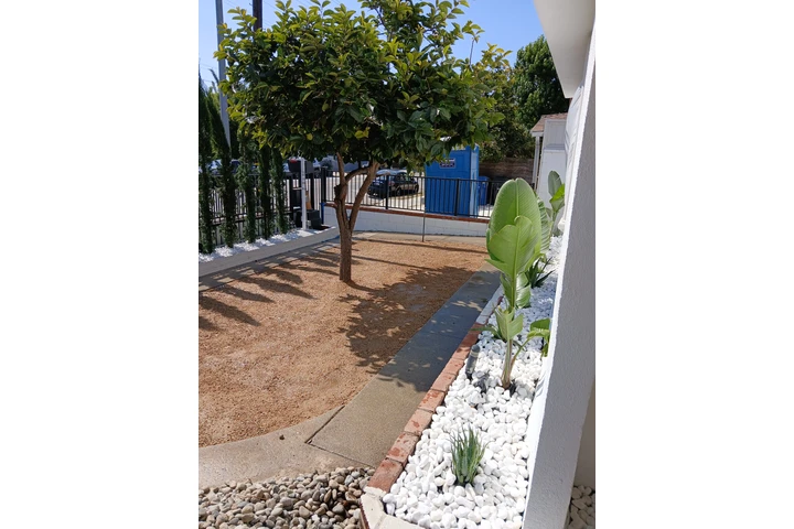 Jardin y mucho mas image 8