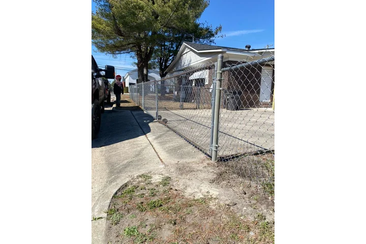 Professional Tree services image 7