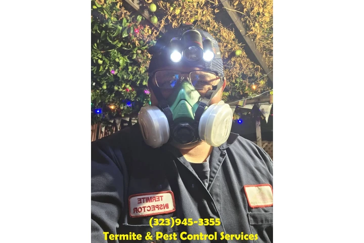 FUMIGATIONS ALL DAY CALL NOW.- image 10