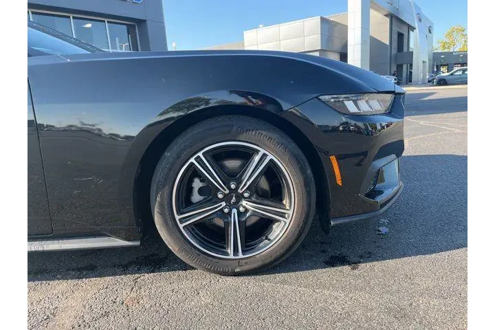 $28000 : Ford Mustang 2024 EcoBoost 2 image 4