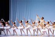 Clases Ballet online en Santiago