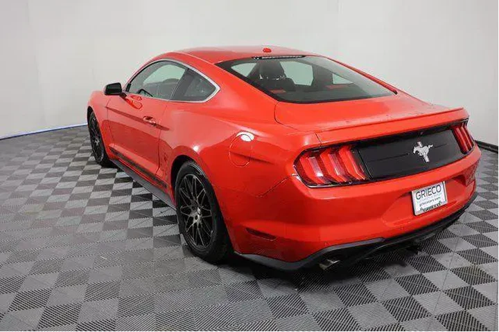 $16488 : Ford Mustang 2019 EcoBoost P image 6