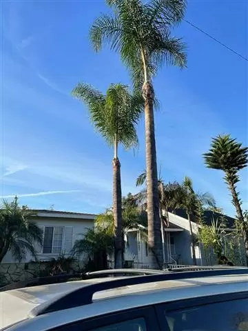 Elacios Gardening & Lanscapin image 6