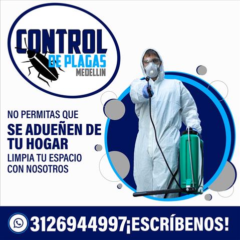 Control de plagas Medellín image 3
