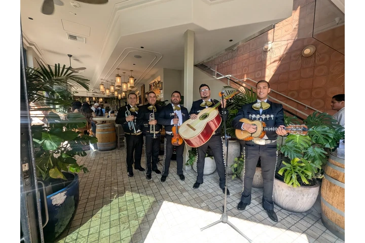 Mariachi Oro de Jalisco image 6