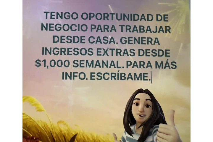 BUSCAS EMPLEO DESDE CASA image 1