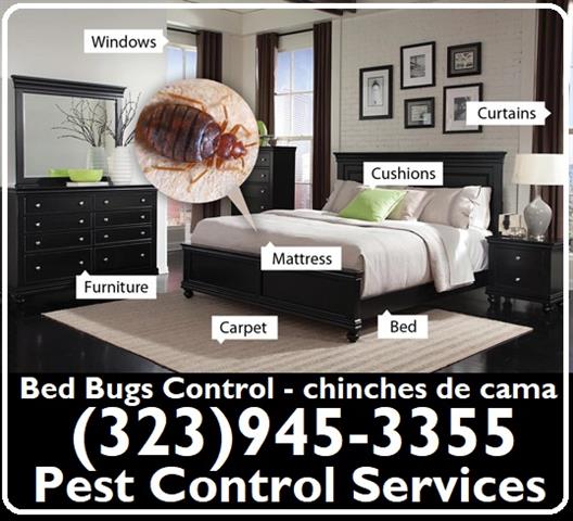 PEST CONTROL MAYWOOD 24/7.- image 6