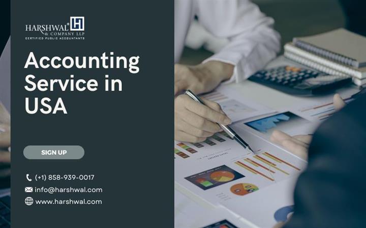 USA-based Accounting Service image 1