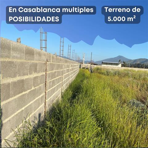 $700000 : Arriendo 5000m2 En Casablanca image 1