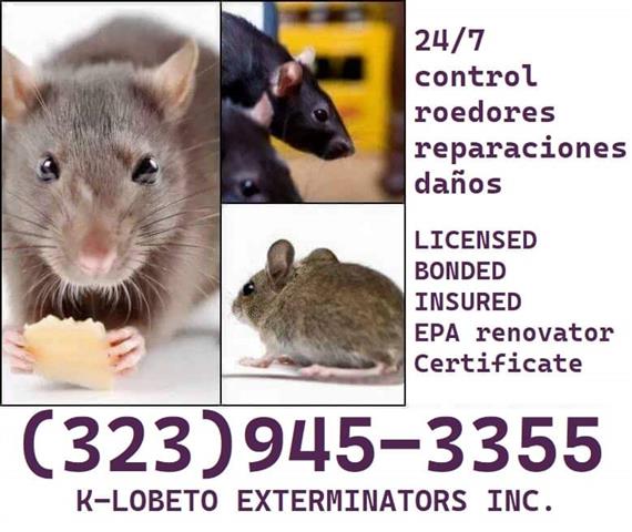 RODENTS CONTROL NEAR ME 24/7 image 9