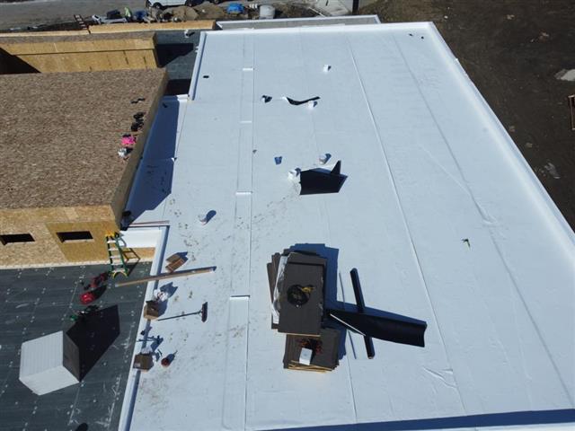 Warrior Roofing & Constuction image 3