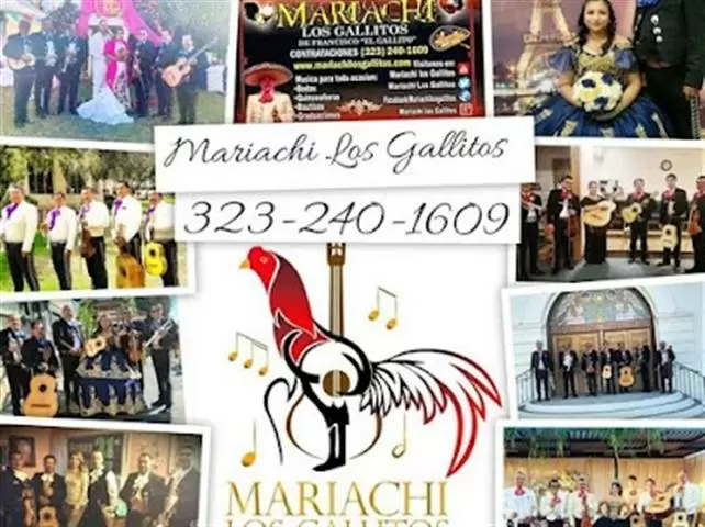 Quinceneras Con Mariachi image 2