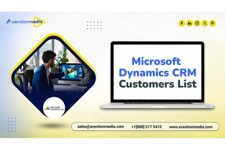 MS Dynamics CRM Customers List image 1