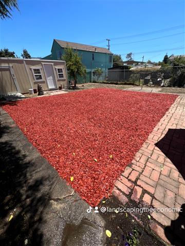 Gardening Berkeley,Richmond Ca image 8