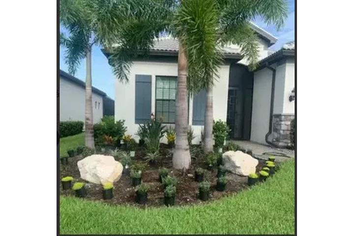 ✨ Tu Jardín Perfecto image 2
