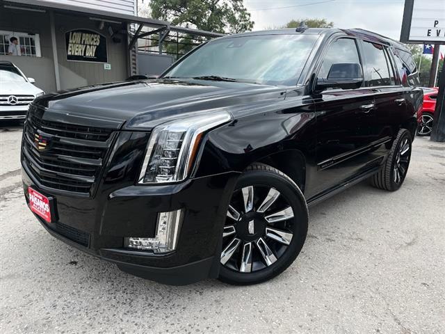 2019 Escalade 4WD 4dr Platinum image 1