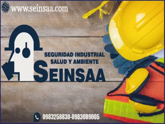 seinsaa image 2
